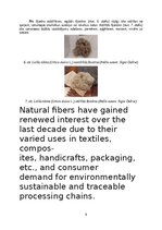 Research Papers 'Lielās nātres (Urtica dioica L.) šķiedru pielietojums tautas medicīnā un tekstil', 9.