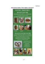 Research Papers 'Lielās nātres (Urtica dioica L.) šķiedru pielietojums tautas medicīnā un tekstil', 27.