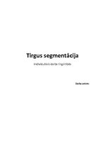 Summaries, Notes 'Tirgus segmentācija', 1.