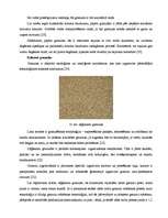 Term Papers 'Biomasas granulu izmantošana apkures iekārtās', 26.