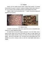 Term Papers 'Biomasas granulu izmantošana apkures iekārtās', 28.
