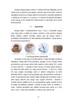 Research Papers 'Kaņepju betona izgatavošana un tā īpašības', 13.