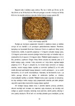 Research Papers 'Kaņepju betona izgatavošana un tā īpašības', 14.