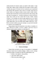 Research Papers 'Kaņepju betona izgatavošana un tā īpašības', 15.