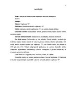 Term Papers 'Анализ финансового состояния предприятия по производству биотоплива', 4.