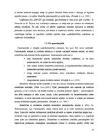 Research Papers 'SIA kā viena no komercdarbības formām Latvijā', 23.