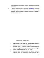 Research Papers 'SIA kā viena no komercdarbības formām Latvijā', 33.