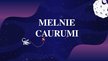 Presentations 'Melnie caurumi', 1.