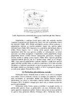 Research Papers 'Psiholoģiskās sagatavošanas 16-18-gadus veciem futbolistiem', 9.