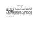 Summaries, Notes 'Nikolajs Gogolis', 6.