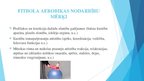 Presentations 'Aerobika ar bumbu. Fitbols', 6.