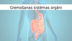 Presentations 'Gremošanas sistēmas orgāni', 1.
