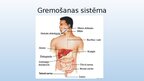 Presentations 'Gremošanas sistēmas orgāni', 2.