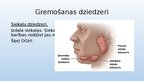 Presentations 'Gremošanas sistēmas orgāni', 4.
