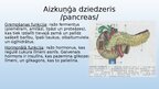 Presentations 'Gremošanas sistēmas orgāni', 11.