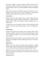 Research Papers 'Arhitektūra un dizains', 9.