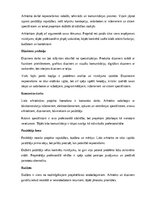 Research Papers 'Arhitektūra un dizains', 19.