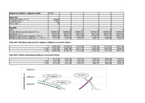 Research Papers 'Finanšu aprēķinu modelēšana Excel vidē', 4.