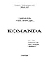 Research Papers 'Komanda', 1.