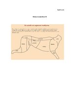 Research Papers 'Meža dzīvnieku gaļas izmantošana pārtikas produktu ražošanā un uzturā', 19.