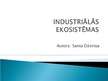 Research Papers 'Industriālās ekosistēmas', 11.