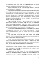 Term Papers 'Latvijas augstskolu mājaslapu krāsu, grafisko objektu un struktūras noformēšanas', 19.