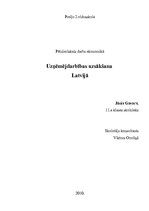 Research Papers 'Uzņēmējdarbības uzsākšana Latvijā', 1.