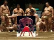 Presentations 'Sumo', 10.