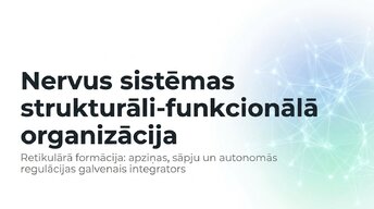 Presentations 'Nervu sistēmas strukturāli - funkcionālā organizācija', 1.