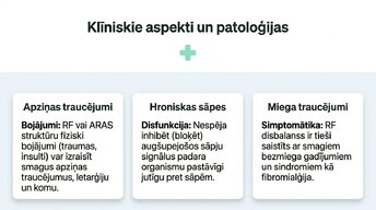 Presentations 'Nervu sistēmas strukturāli - funkcionālā organizācija', 12.