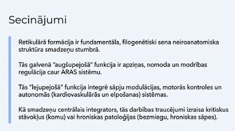 Presentations 'Nervu sistēmas strukturāli - funkcionālā organizācija', 14.