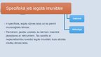 Presentations 'Imunitāte', 4.