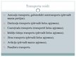 Presentations 'Transporta sistēmas; salīdzinājums Baltijas valstīs', 10.