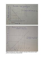 Summaries, Notes 'Mājas darbs mikroekonomikā', 8.