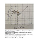 Summaries, Notes 'Mājas darbs mikroekonomikā
2025./2026. studiju gada rudens semestrim', 29.