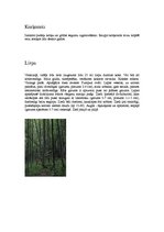 Research Papers 'Tālo Austrumu jauktie meži', 5.