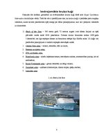 Research Papers 'Kruīzu kuģi kā tūrisma sektors, darbības specifika, ievērojamākās kompānijas', 8.