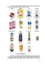 Research Papers 'Esošā produkta (dzeramā jogurta) jauno iespēju izpēte', 8.