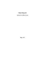 Research Papers 'Nikolo Makjavelli literatūras analīze', 1.