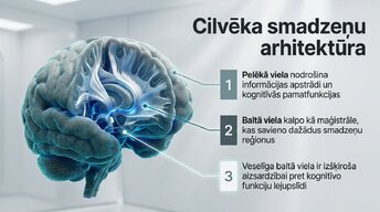 Presentations 'Kāpēc mūžizglītība palīdz uzturēt smadzeņu elastību', 3.