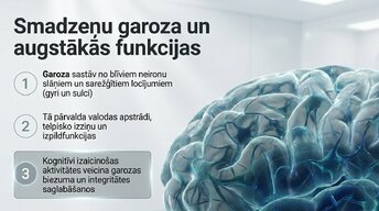 Presentations 'Kāpēc mūžizglītība palīdz uzturēt smadzeņu elastību', 4.