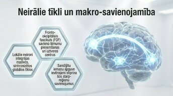 Presentations 'Kāpēc mūžizglītība palīdz uzturēt smadzeņu elastību', 10.