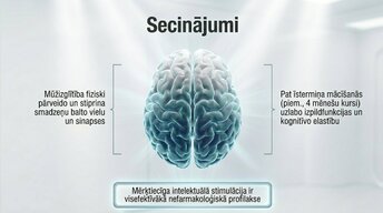 Presentations 'Kāpēc mūžizglītība palīdz uzturēt smadzeņu elastību', 13.
