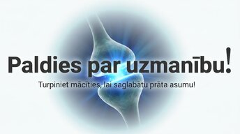 Presentations 'Kāpēc mūžizglītība palīdz uzturēt smadzeņu elastību', 16.