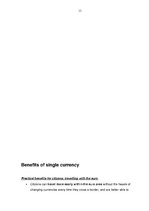 Research Papers 'European Single Currency - Euro', 12.