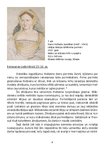 Research Papers '15.-16.gadsimta portretiskā žanra darbu analīze', 9.