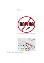 Research Papers 'Dopinga ietekme uz sportistu rezultātiem', 22.
