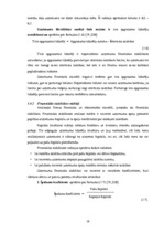 Term Papers 'SIA "LBK Invest" saimnieciskās darbības analīze un pilveidošanas virzieni.', 19.