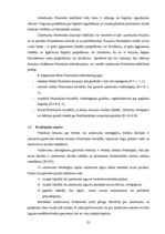 Term Papers 'SIA "LBK Invest" saimnieciskās darbības analīze un pilveidošanas virzieni.', 25.