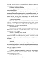 Term Papers 'SIA "LBK Invest" saimnieciskās darbības analīze un pilveidošanas virzieni.', 36.